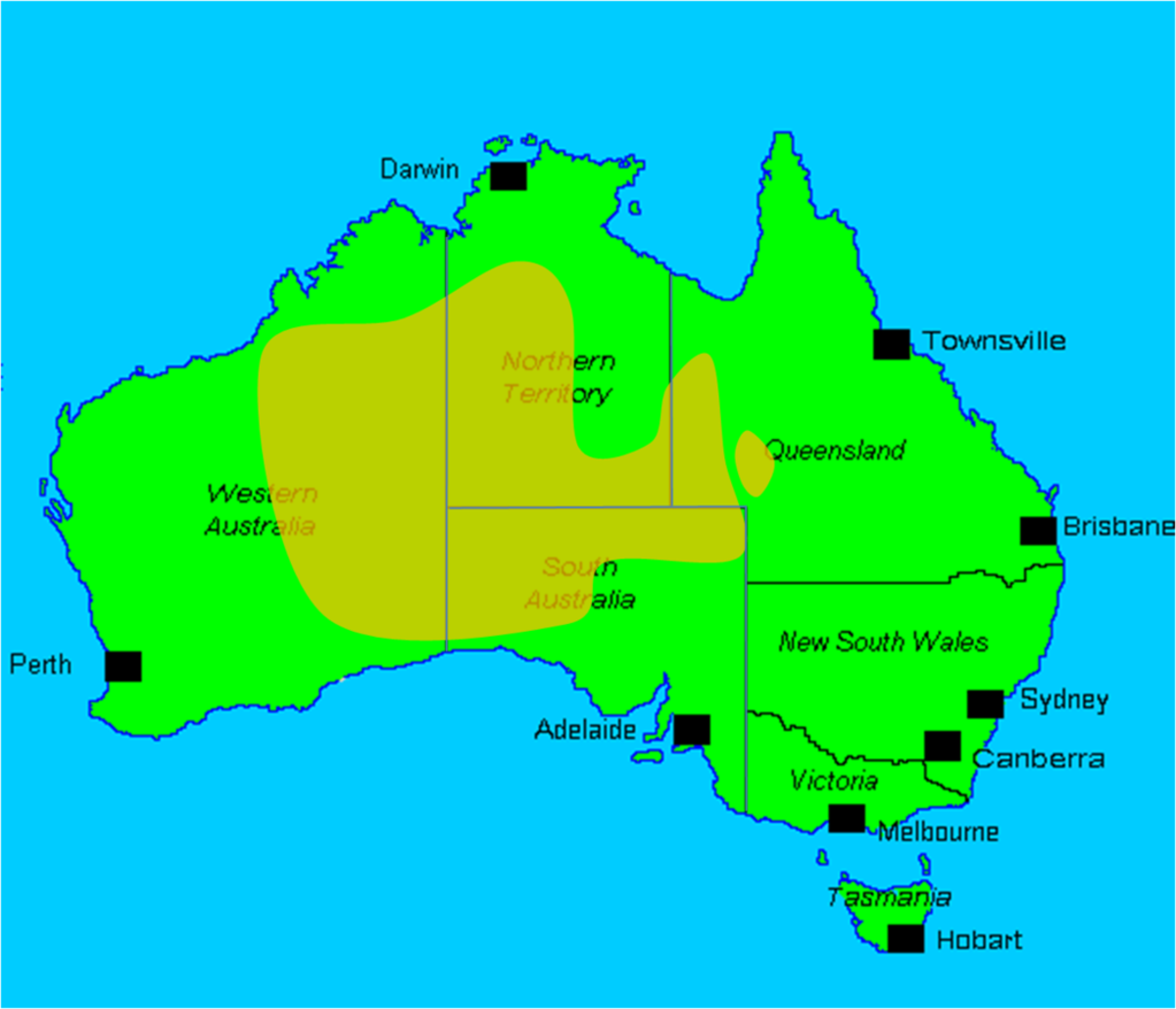 Australia’s Feral Camels - Owlcation