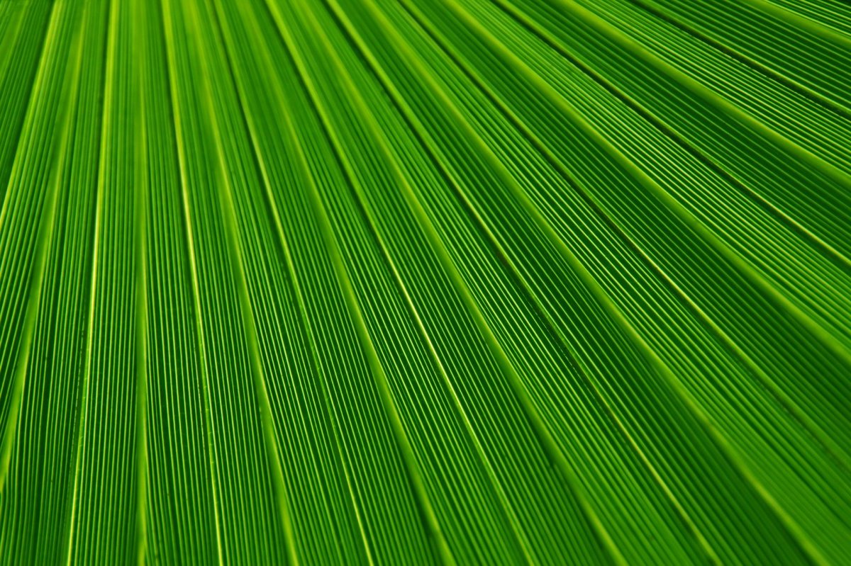 List Of Colors Name In Spanish Marylee Newcomb