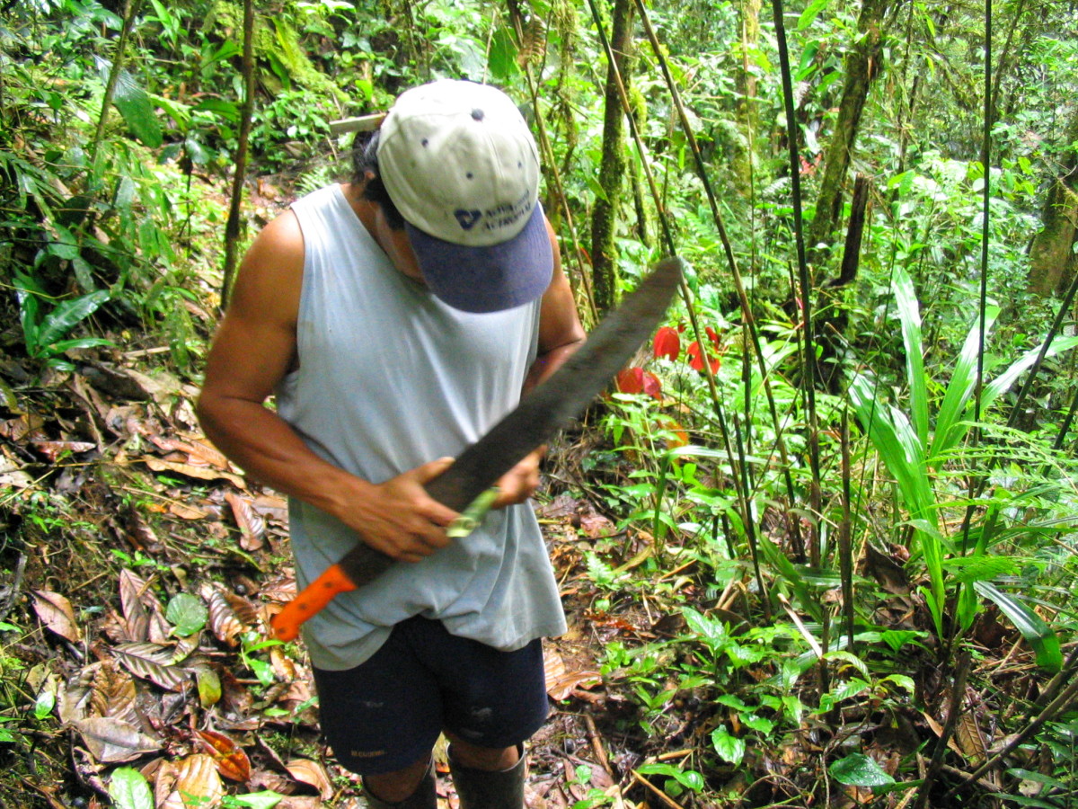 Brazilian rainforest machete