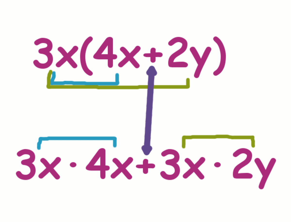 Multiplying 1 term by 2 terms: Write down 3x times 4x + 3x times 2x.
