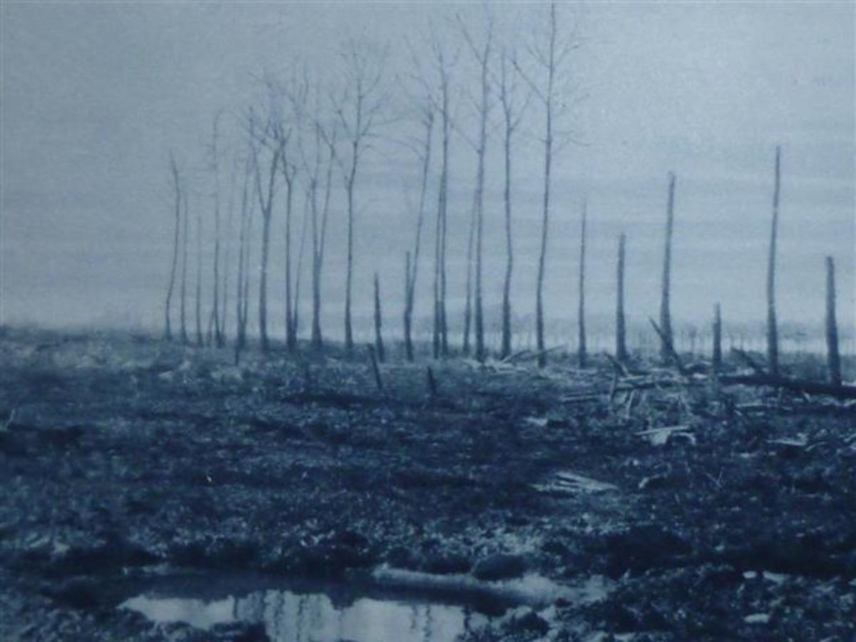 Devastation Around Langemarck After the Chlorine Gas Attack. Photo from The London Illustrated News, May 22, 1915