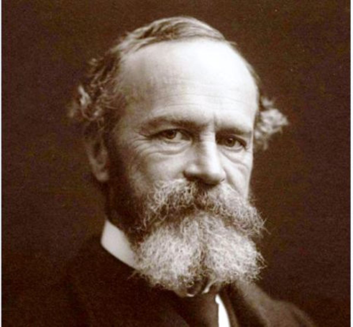 Williams James (1842–1910)