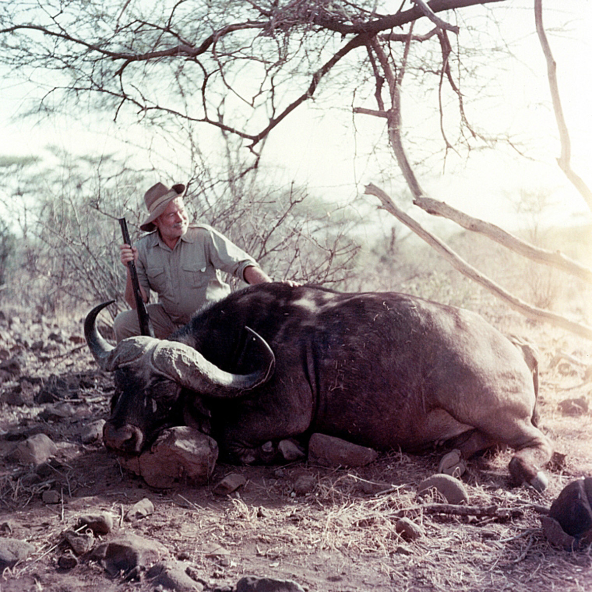 The famous Ernest Hemingway posing with a buffalo he shot (1953)
