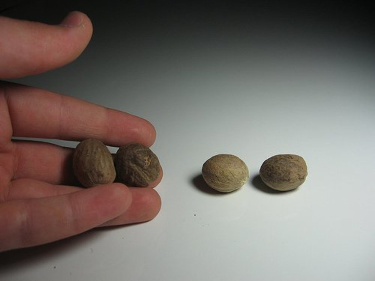 the-blood-soaked-history-of-nutmeg