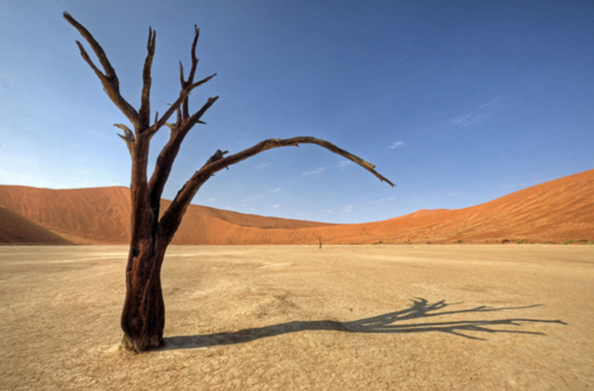 The savage beauty of the Namib Desert.