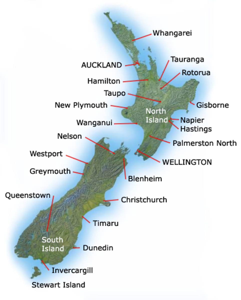 The Endangered Kakapo and Sirocco the Celebrity Parrot - Owlcation