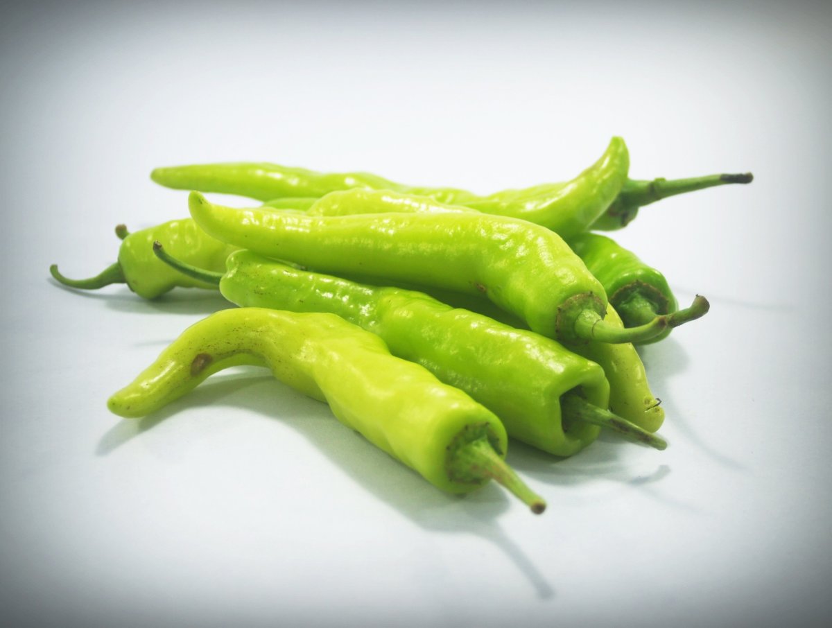 Green chilli | Hari Mirch | हरी मिर्च 