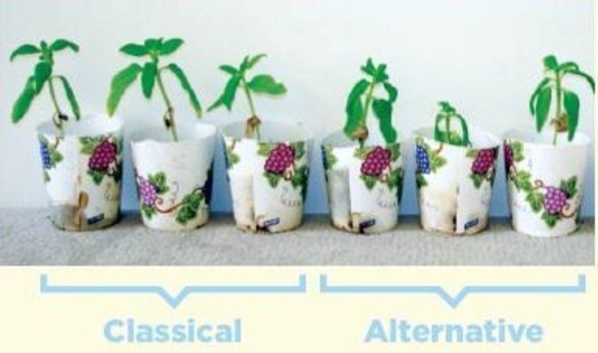 the-effect-of-music-on-plant-growth-and-pests