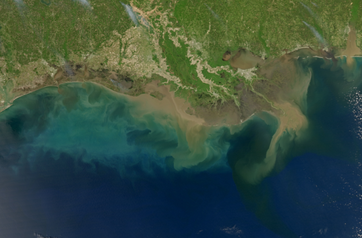 Mississippi Delta dead zone