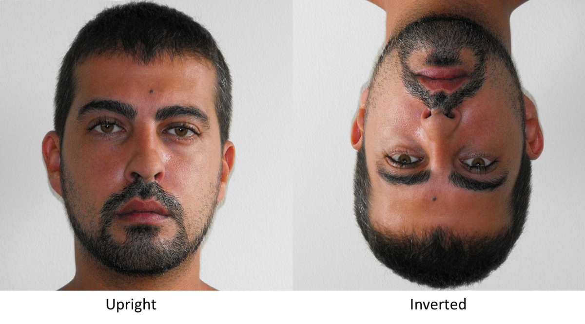 Facial Recognition Inversion Effect