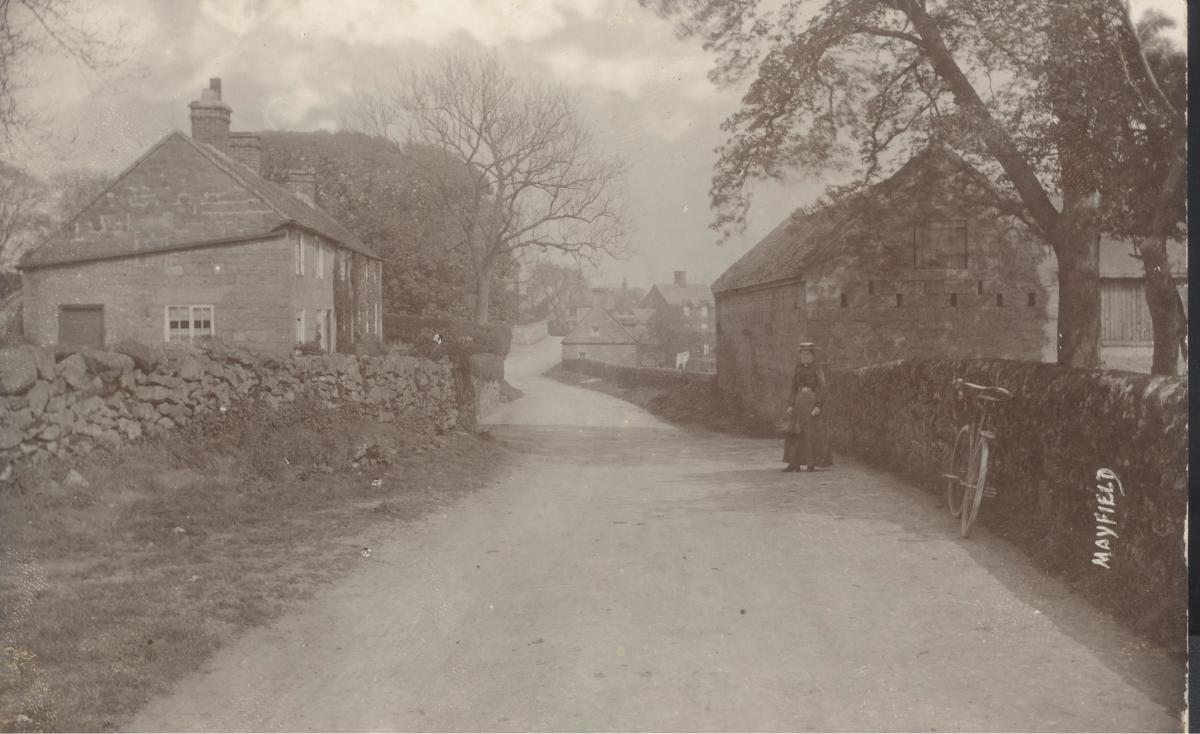 A Monstrous Massacre in Upper Mayfield Owlcation