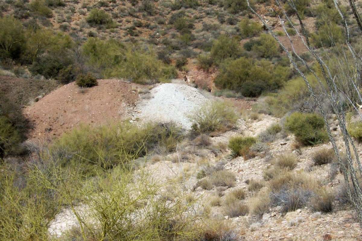 An old ore pile outside an old gold mine. On the left is the material at the top that I search. Notice the reddish tint.
