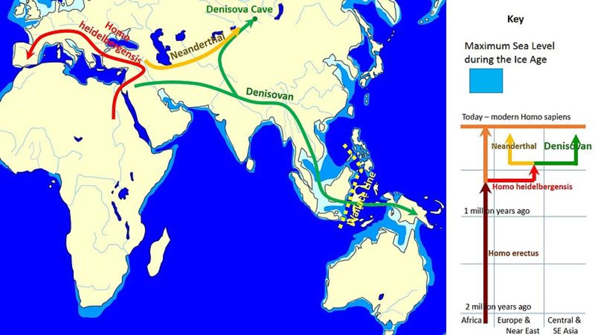 Reconstruction of the wanderings of Denisovian humans.  Map by John D. Croft, courtesy Wikimedia Commons.