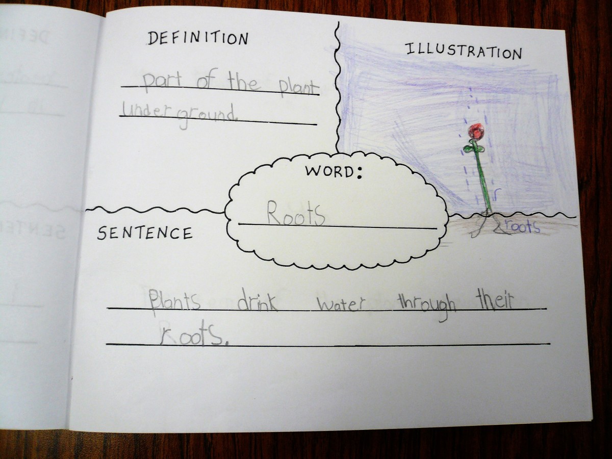 A word map for the word "roots" in one of my first grader's vocabulary journals.