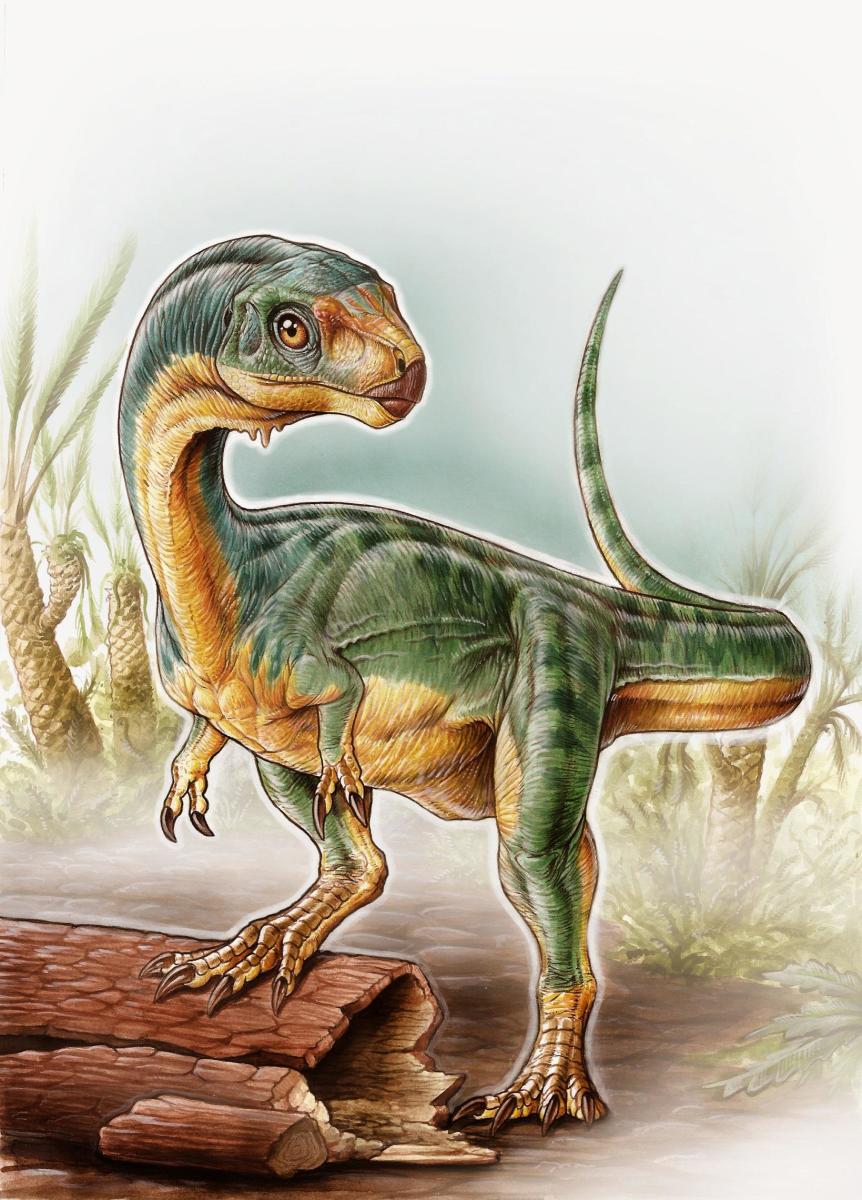 Chilesaurus as depicted by Gabriel Lio.