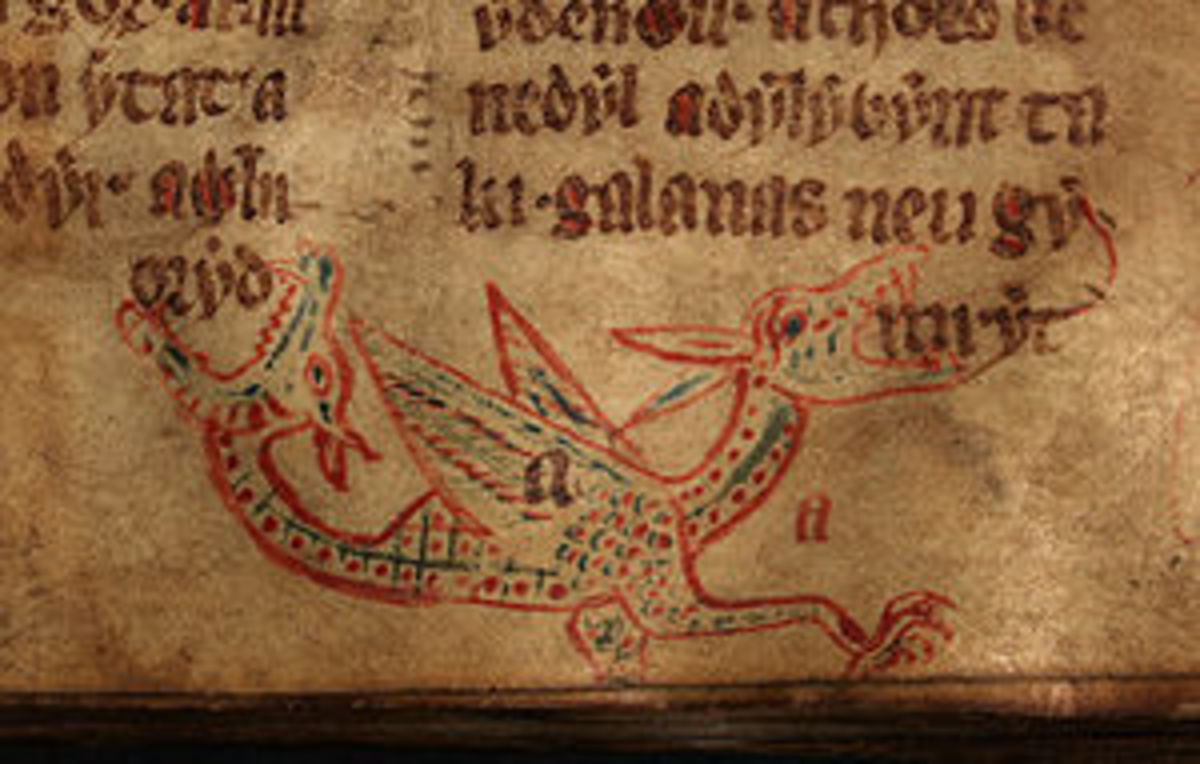 An illustration of a Wyvern from a 14th century Welsh manuscript.