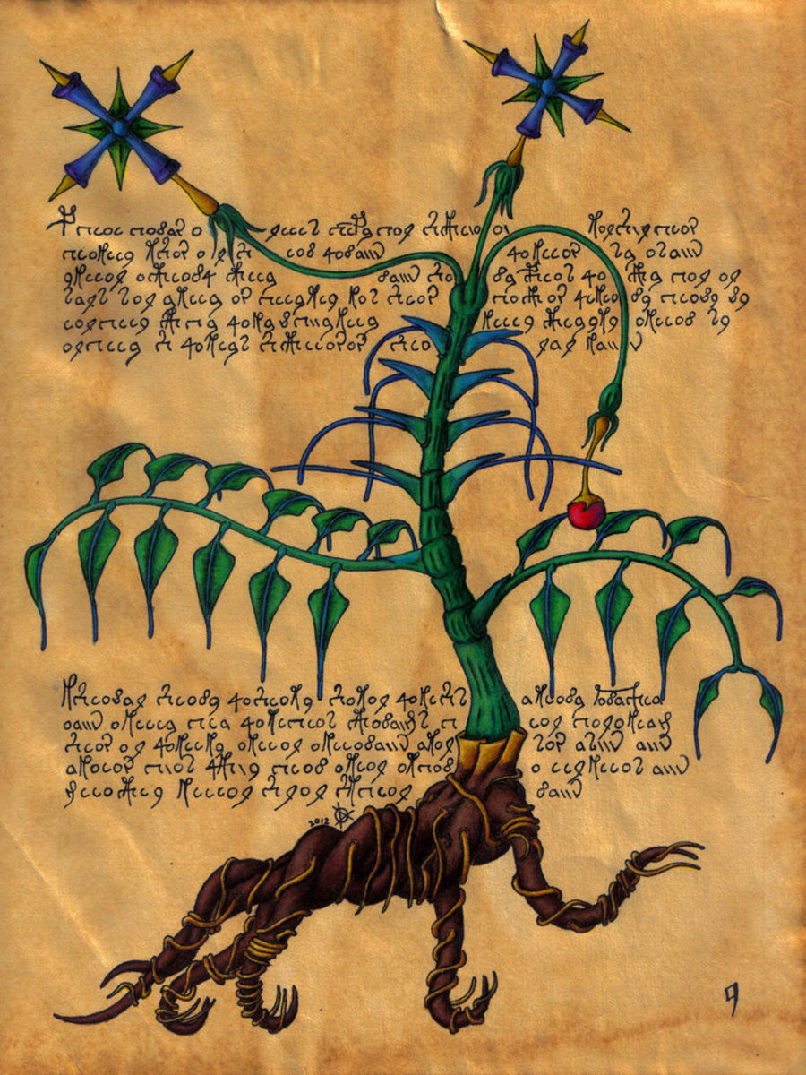 trying-to-make-sense-of-the-voynich-manuscript-a-brief-history
