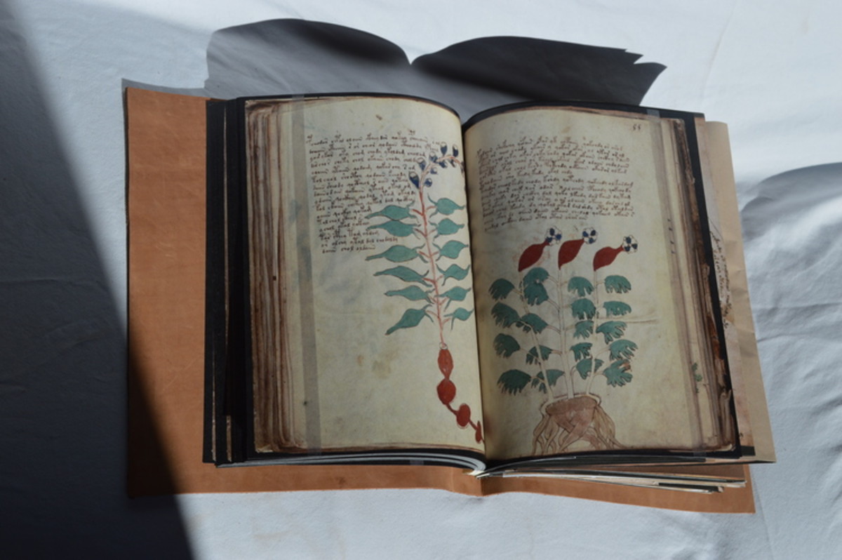 trying-to-make-sense-of-the-voynich-manuscript-a-brief-history