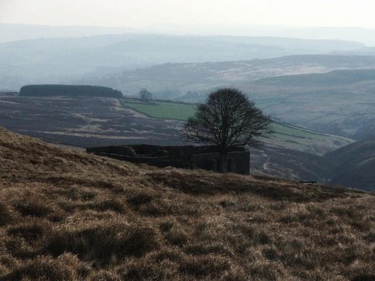 Folds and hills characterized the landscape around the Wuthering Heights farmhouse.