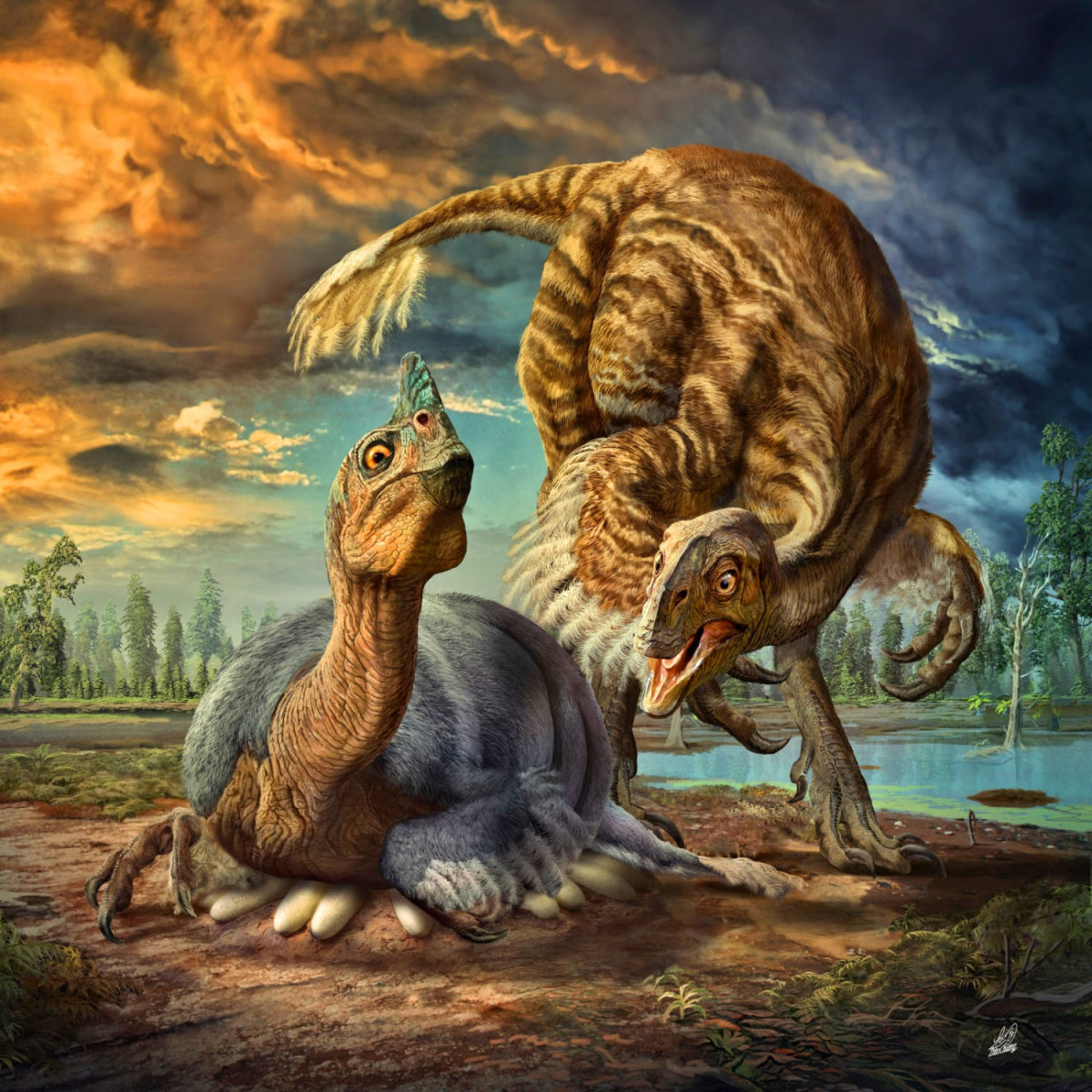 Beibeilong parents, by Zhao Chuang. Since male theropods have been found roosting on eggs, it's likely that the blue one is meant to be the father and the brown one is the mother.