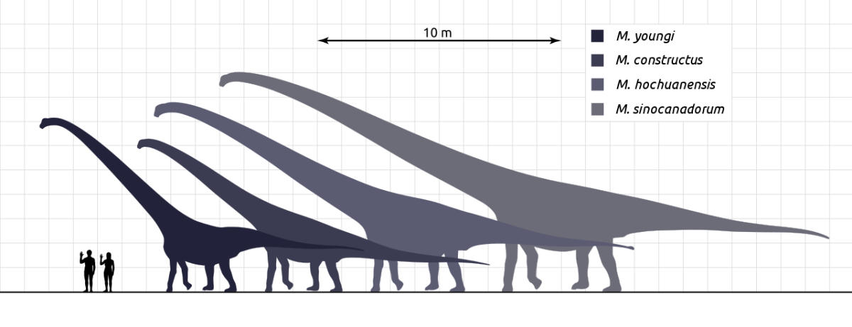 all sauropods