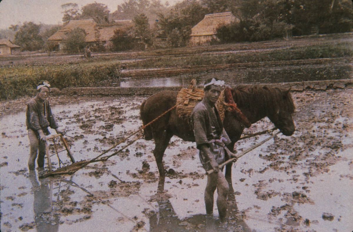 The Japanese Economy and the Effect of the Second World War Owlcation