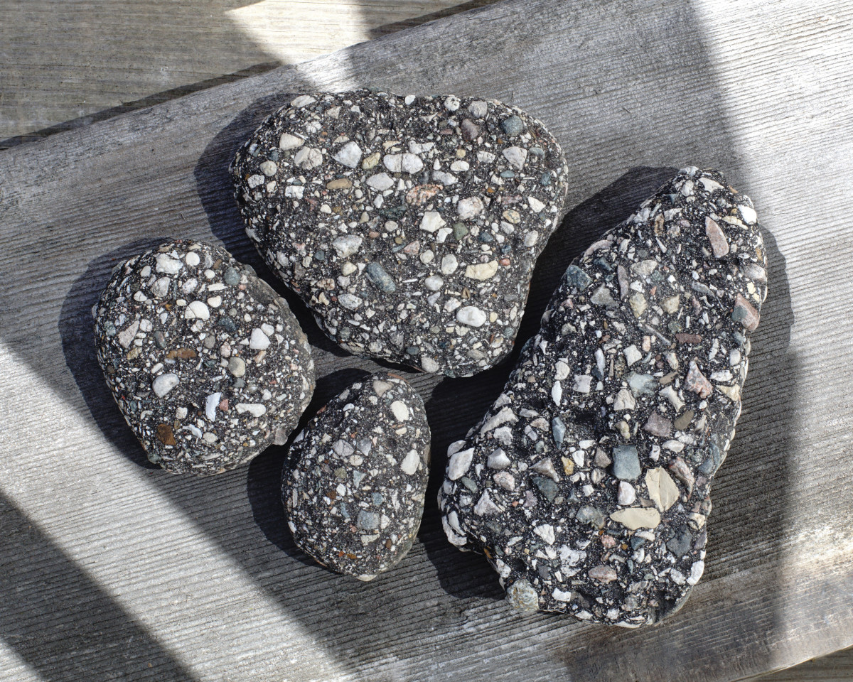 These conglomerate samples are actually man-made and are cemented together with tar for road construction. 