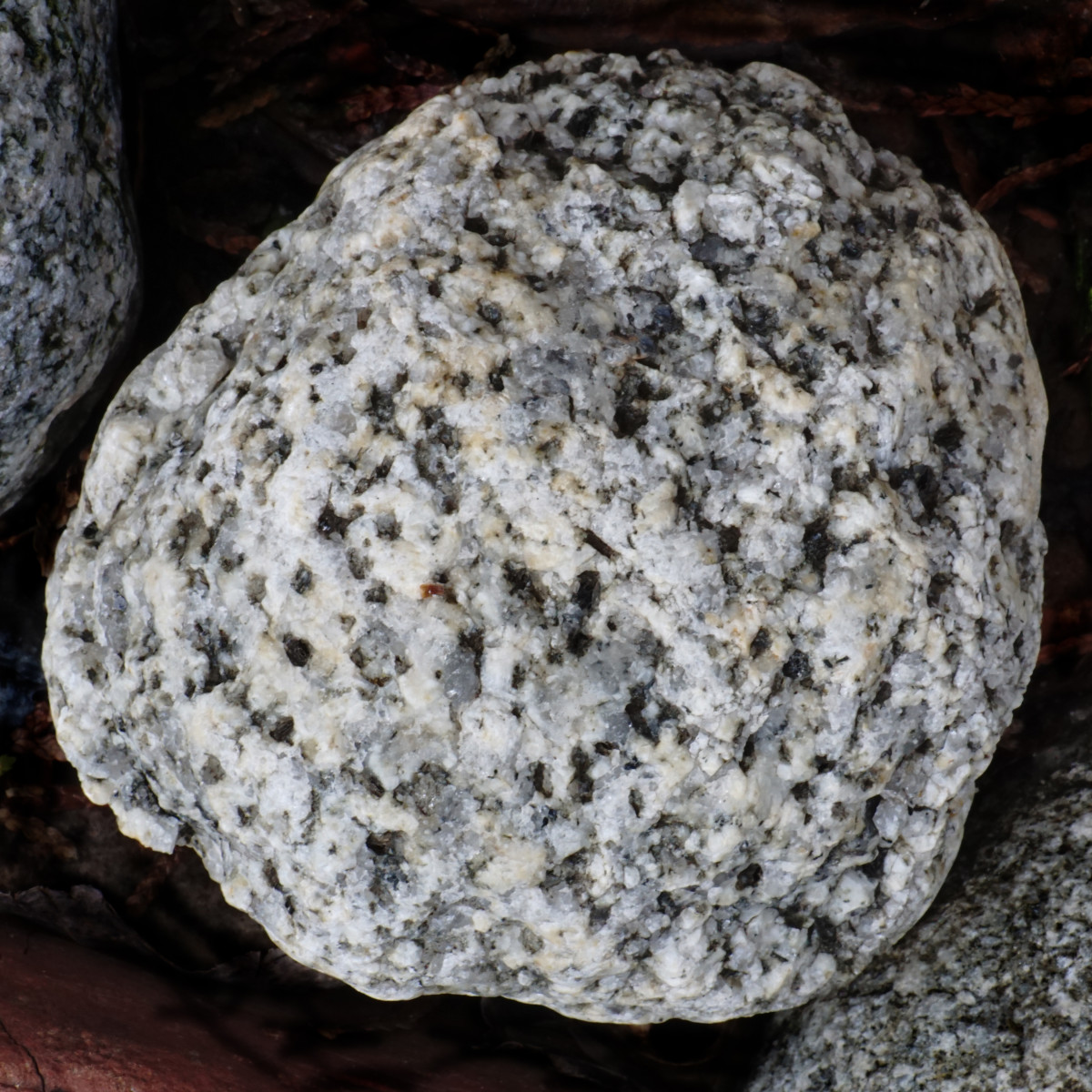 Pegmatite, a Lake Michigan Beach Stone