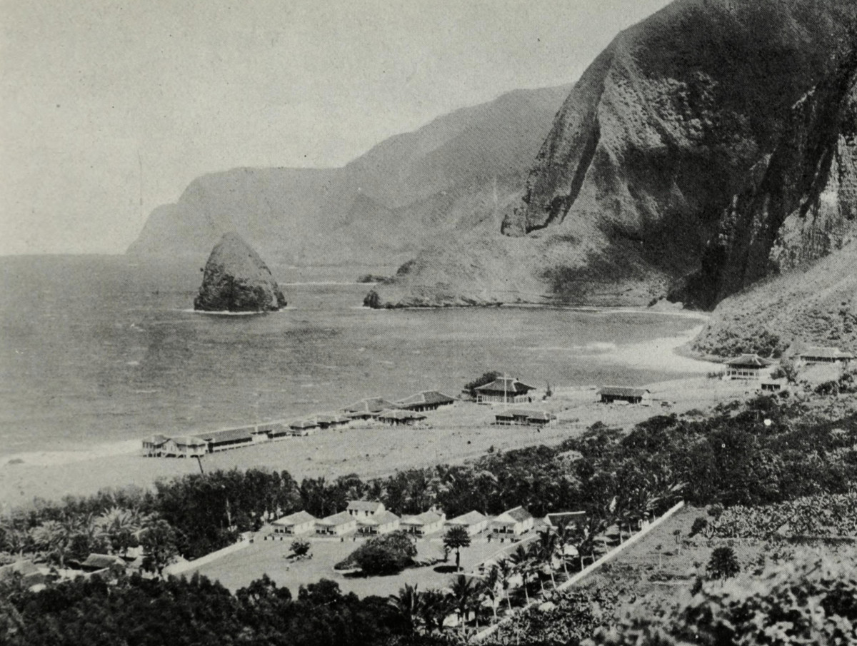 St. Damien of Molokai, Beauty or Beast? Owlcation