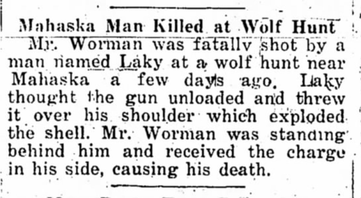 Over the years, some men were accidently killed during wolf hunts. (The Belleville Telescope, 08 Feb 1923, Thu, Page 1)