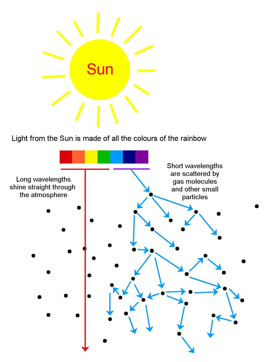 Top 100 Cool Science Facts For Kids Owlcation