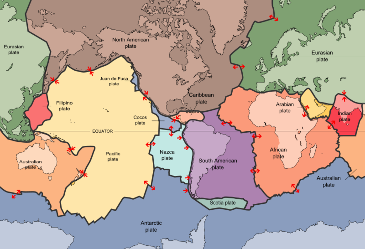 A map of the earth's tectonic plates and the continents