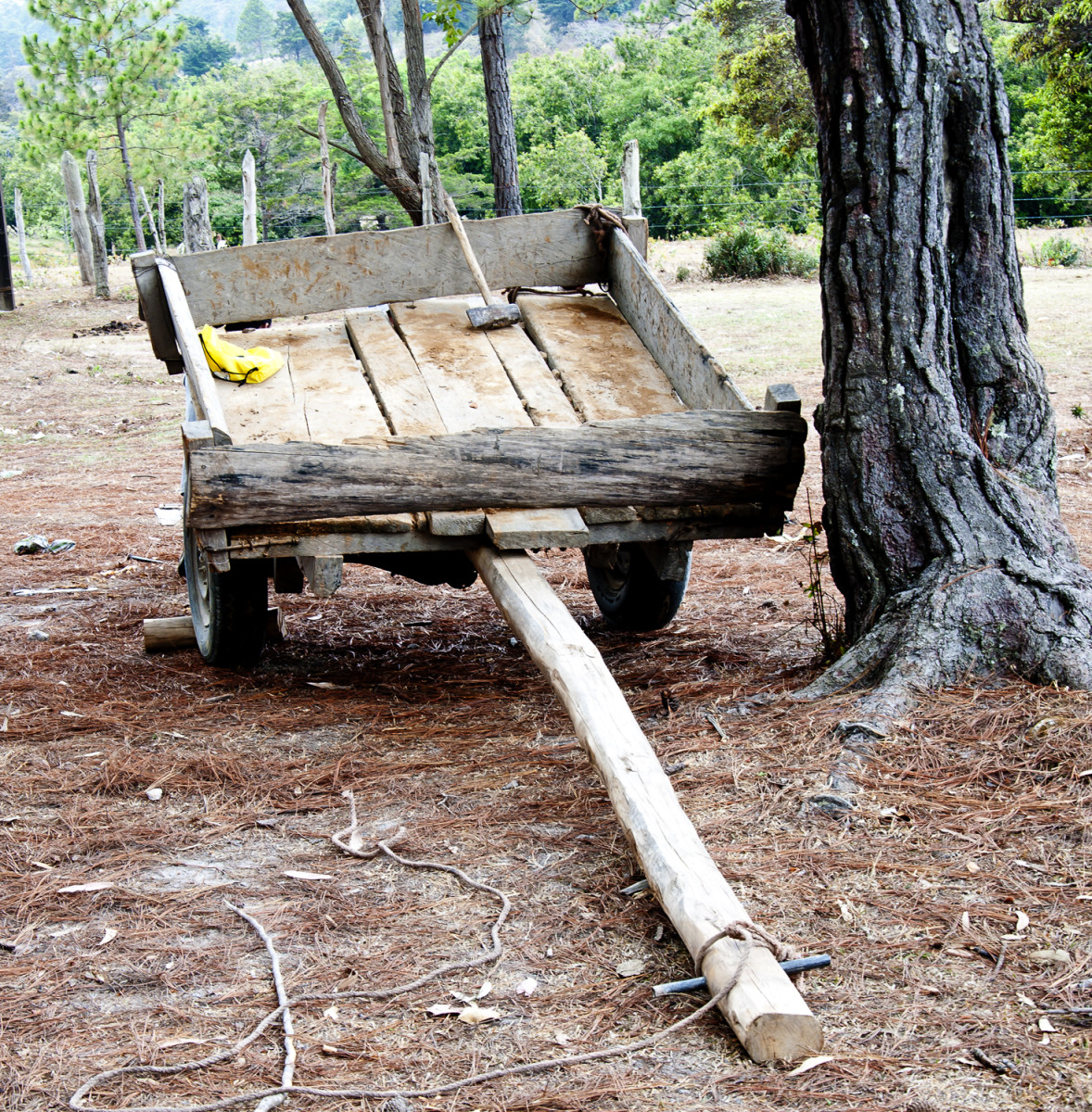 Home-made ox cart.