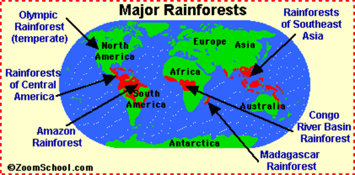 This is a map of the major rainforests around the world. The vast majority of rainforests are concentrated in tropical latitudes, near the equator.