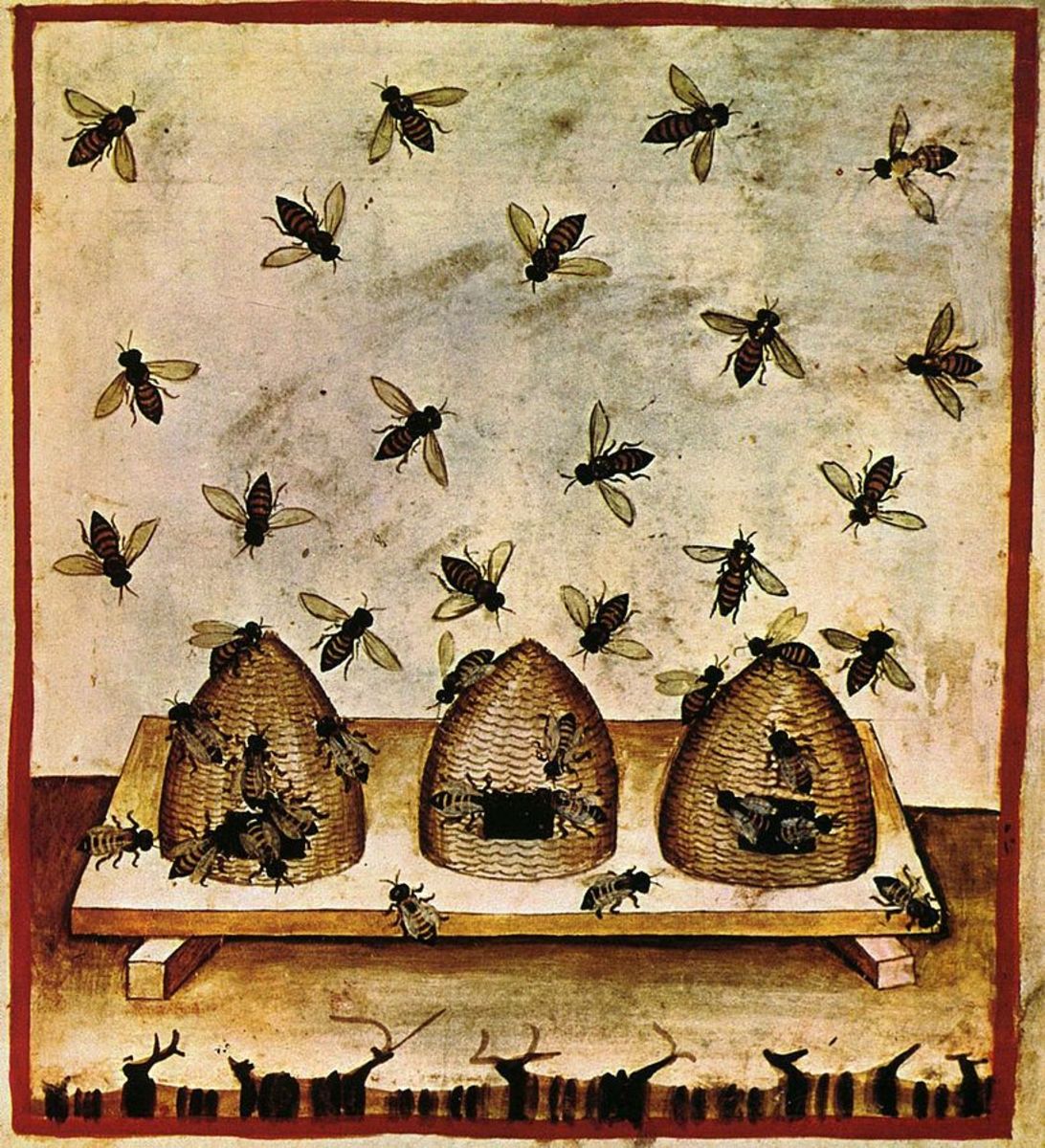 the-folklore-of-bees
