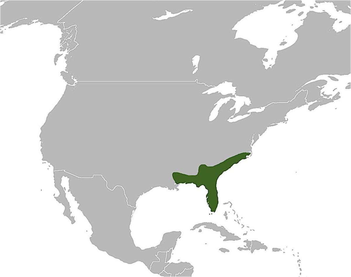 东部响尾蛇分布区域。迄今为止，这种蛇主要分布在美国东南部。