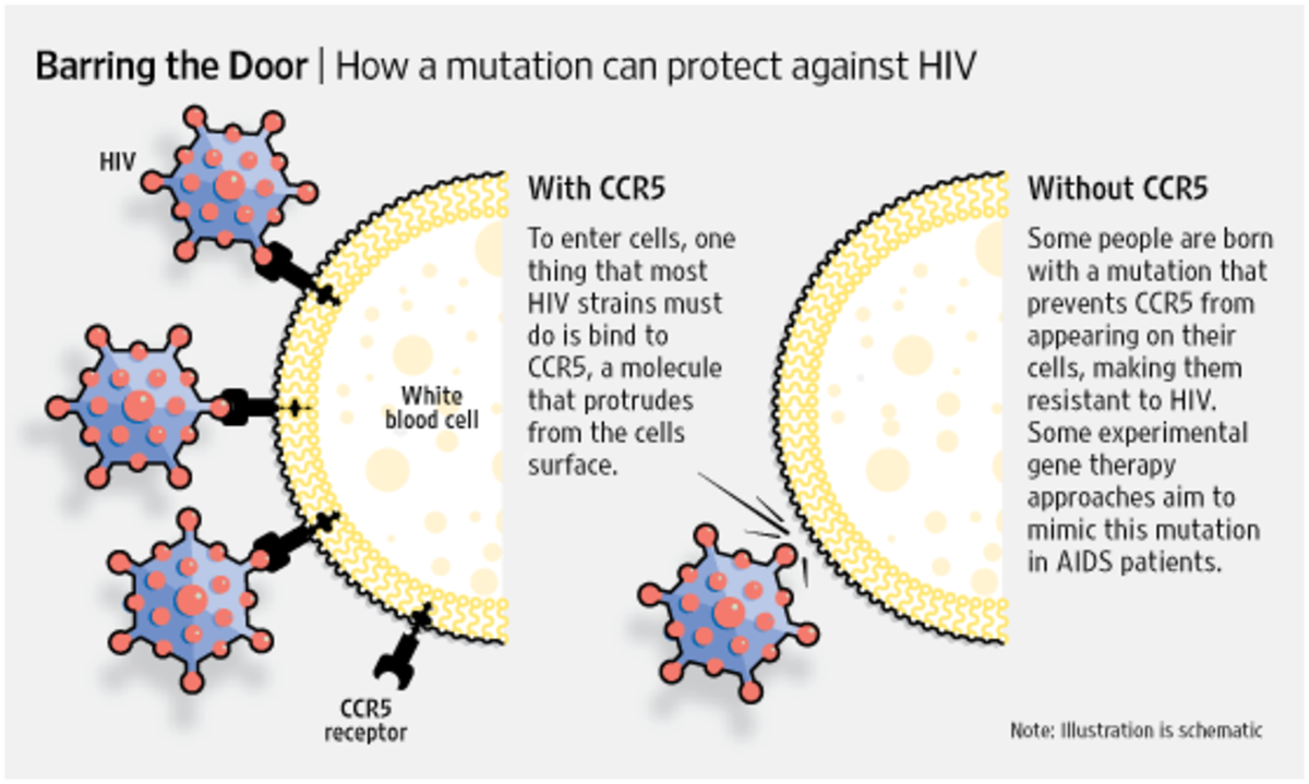 How can a mutation protect against HIV?