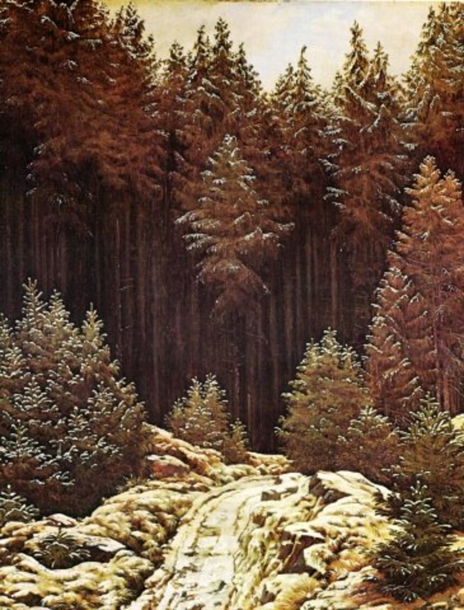 Pine Trees Meanings and Culture of the Great Evergreen Owlcation