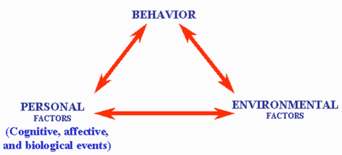 Causes Of Aggression A Psychological Perspective Owlcation