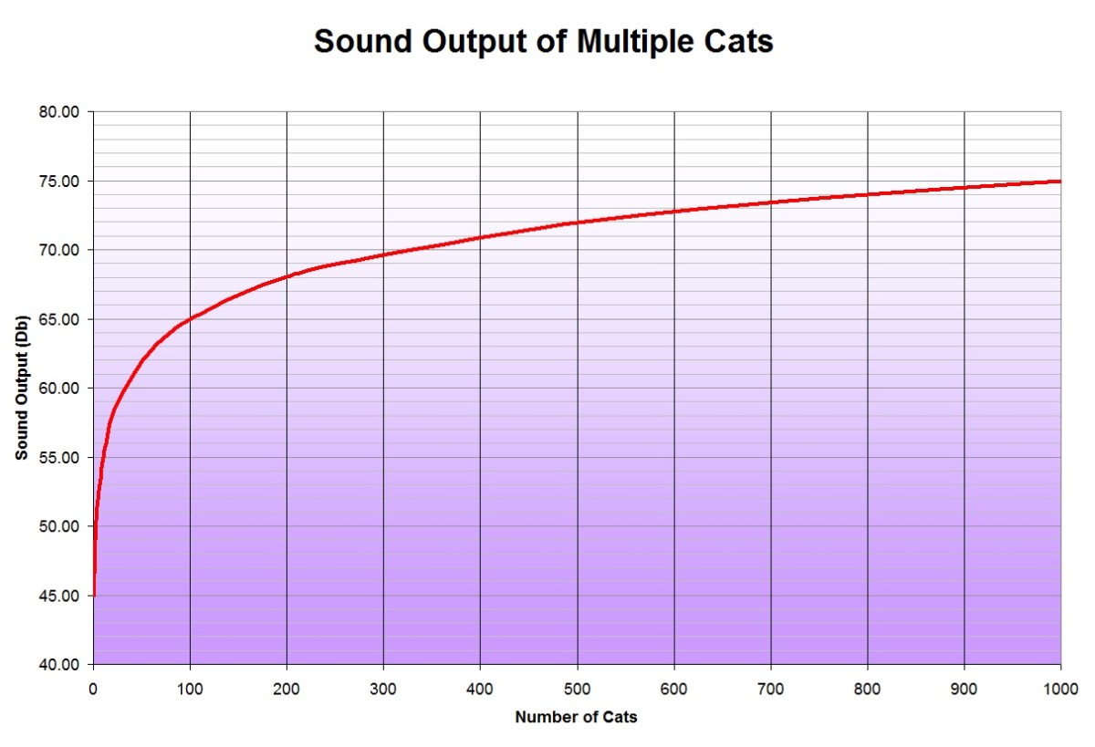 cat-mathematics-the-cats-meow-population-growth-cat-geometry