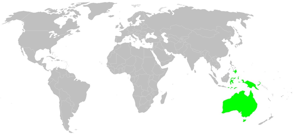 The distribution of Eucalyptus; the rainbow eucalyptus is the only species in the genus whose natural range extends into the northern hemisphere