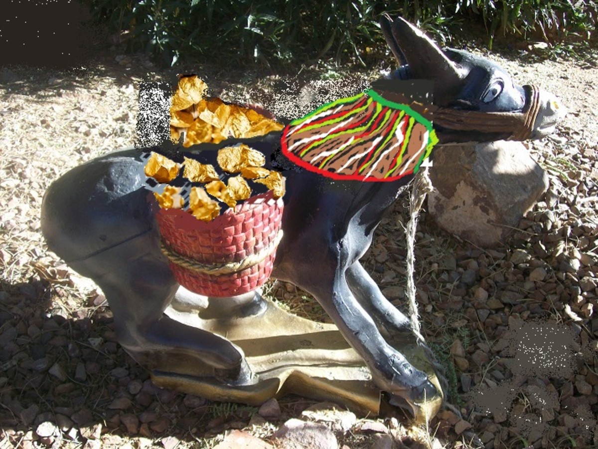 What was really golden to the Arizona prospector was his burro.