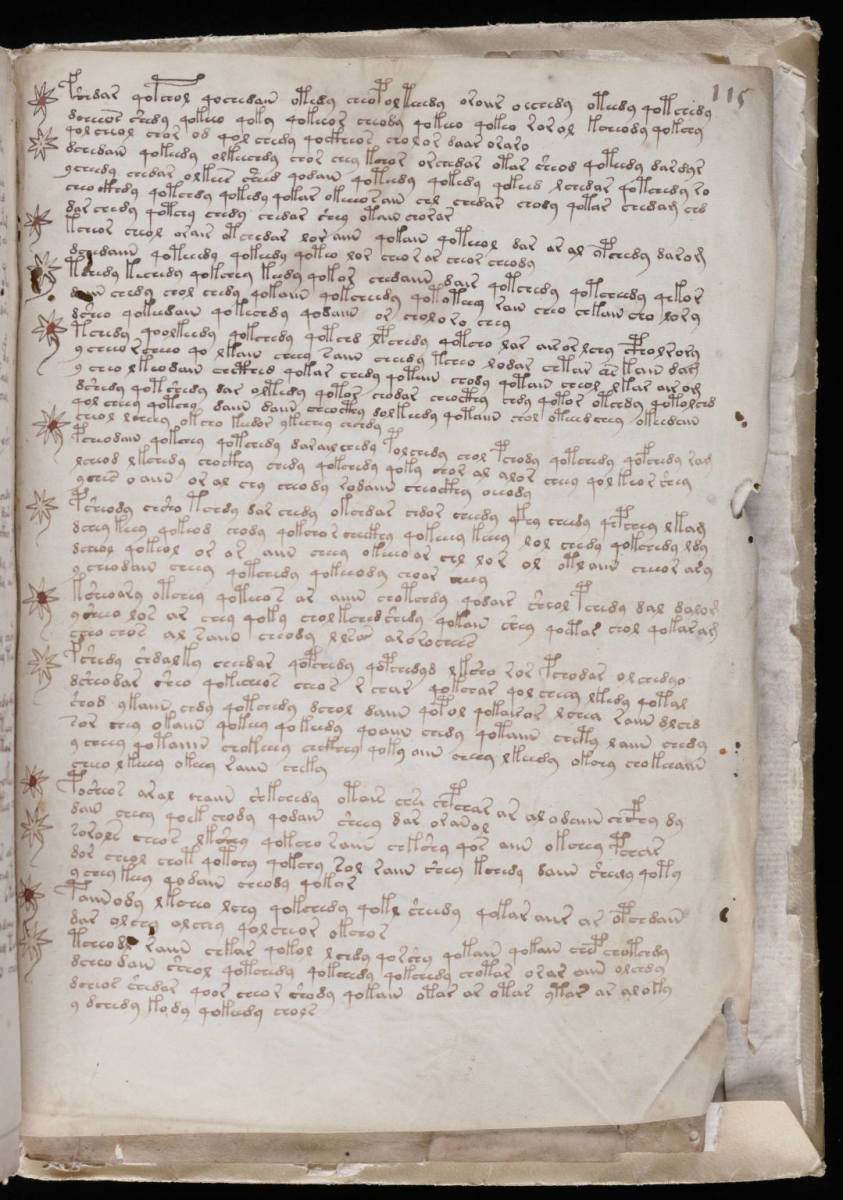 Attempts to crack the Voynich language have failed. It is believed the characters are unique to the manuscript.