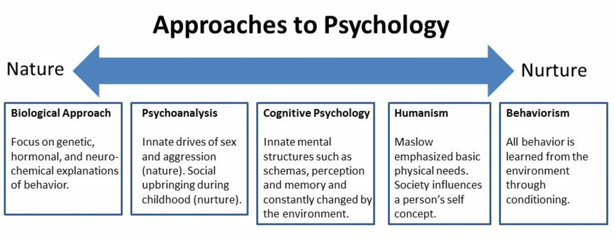 psychology-basics-development