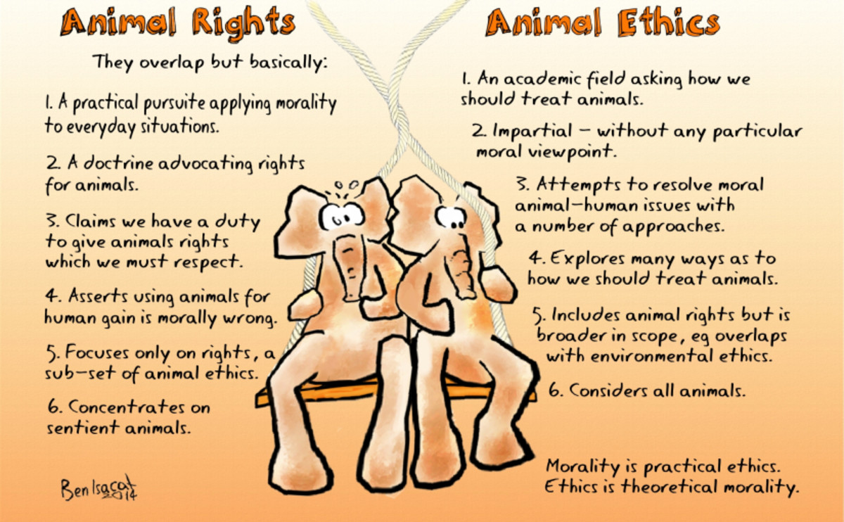 an-analysis-of-tom-regans-animal-rights-human-wrongs