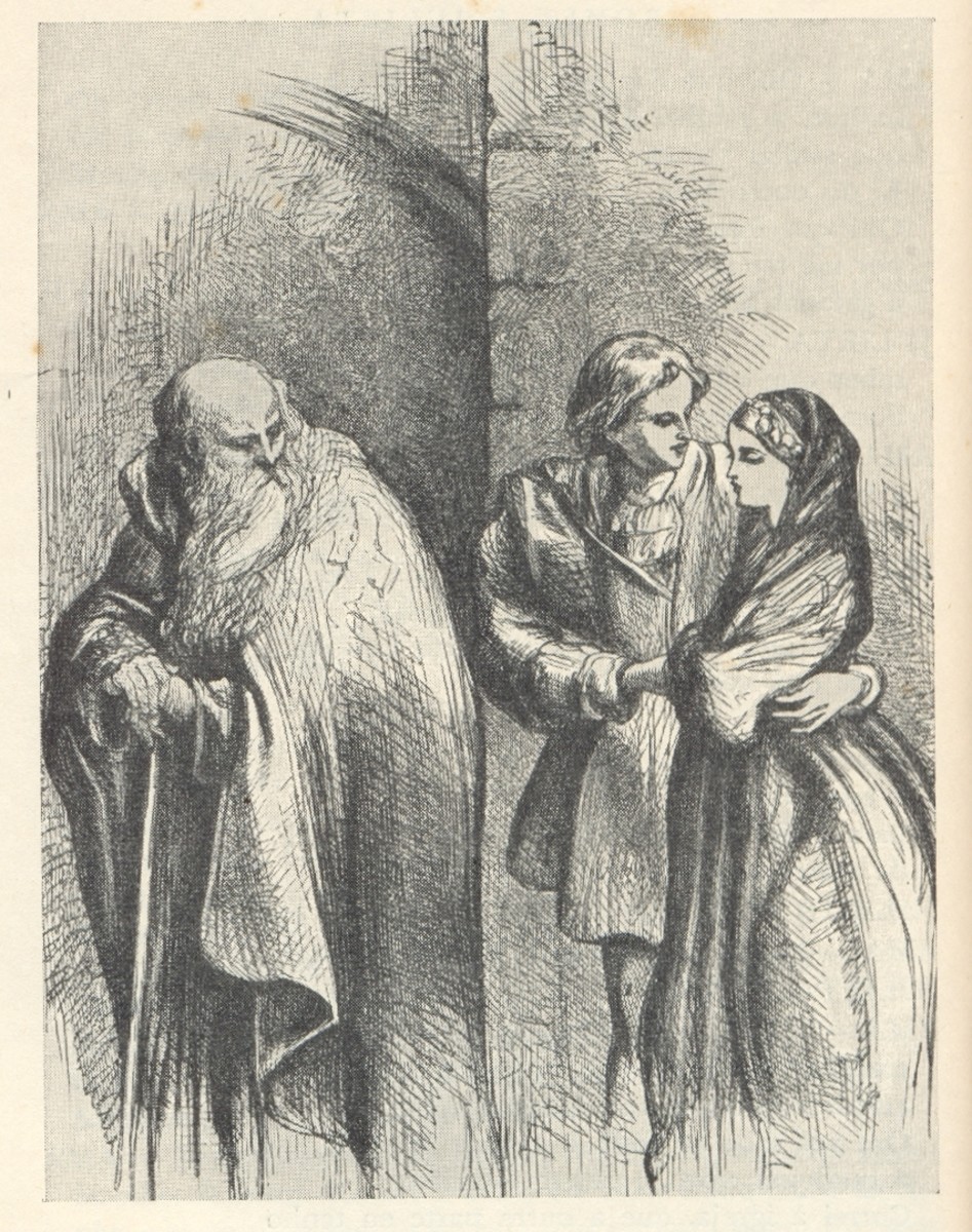 Two Households, Both Alike in Dignity How to Understand the Meaning of