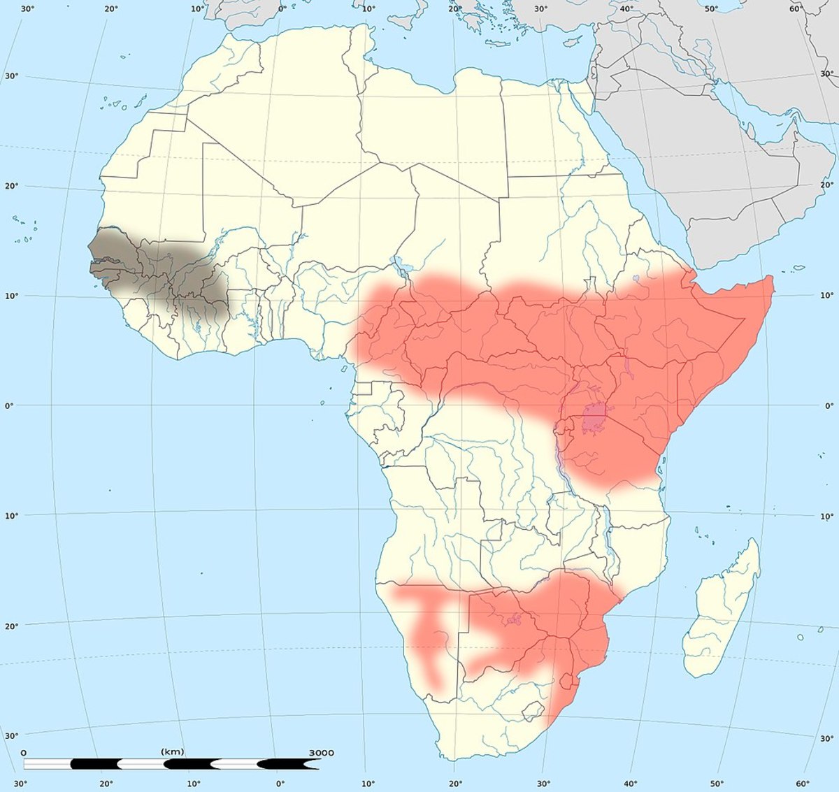 Map of the Black Mamba's range and distribution in Africa.