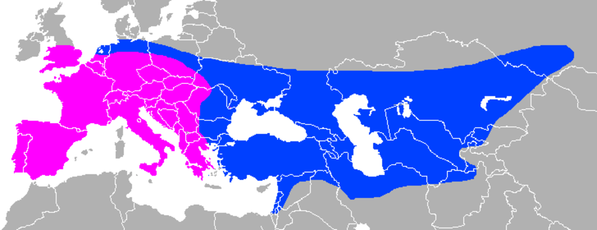 Pink shows the early Neanderthal range and blue the later areas of occupation.