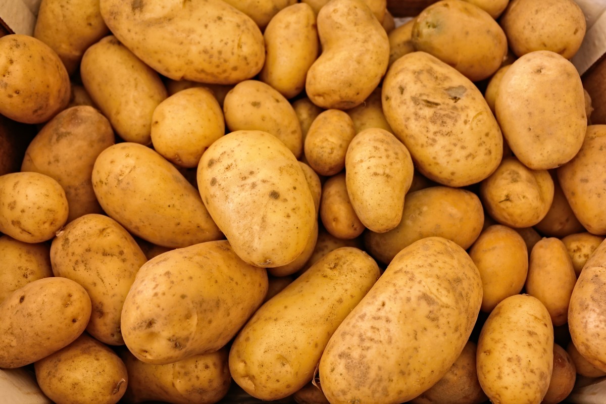 Picture for potato/Kartoffel 