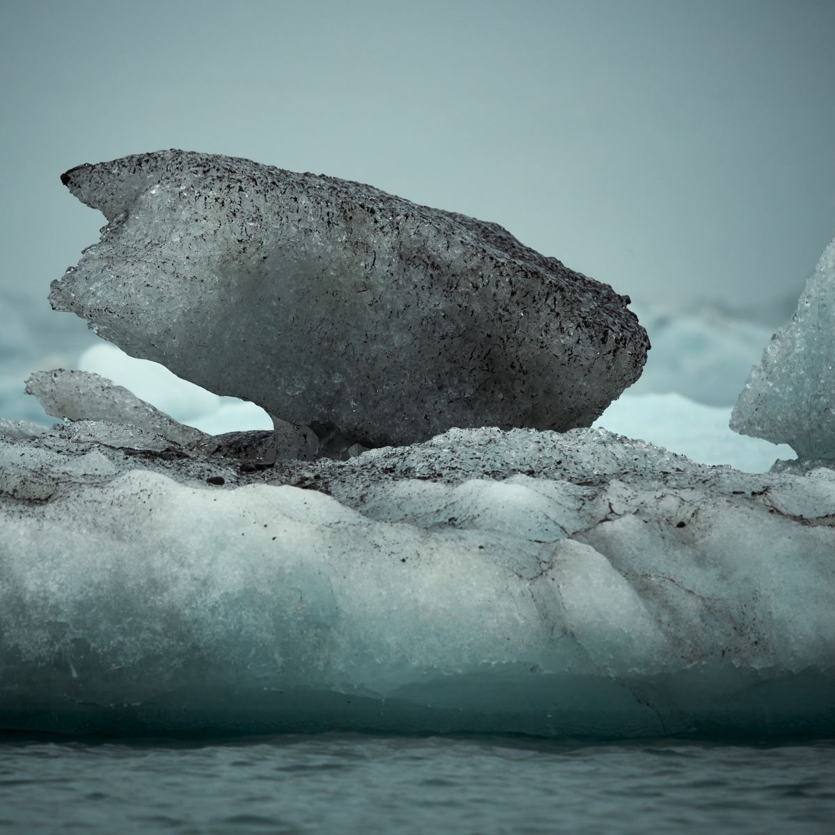 Polar ice has already begun to melt due to climate change. Eventually, rising sea levels could displace millions of coastal humans and animals.